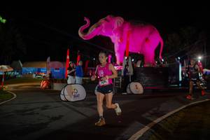 BIB: 
                            <button type="button" onclick="openModal(26552073)" class="btn btn-primary btn-sm float-right btn-popup" data-toggle="modal" data-target=".modal-high-quality">
                        <i class="fas fa-shopping-cart"></i> Add to Cart
                    </button>
                                            <button type="button" onclick="isThisMe(26552073, true)" class="btn btn-success btn-sm float-right btn-popup btn-isme hidden" data-toggle="tooltip" data-placement="bottom" title="นี่คือรูปของคุณใช่ไหม คลิกที่นี่เพื่อเอาเข้าอัลบั้ม">
                        <i class="fas fa-plus"></i> Add to album
                    </button>
                    <button type="button" onclick="isThisMe(26552073, false)" class="btn btn-warning btn-sm float-right btn-popup btn-isnotme hidden">
                        <i class="fas fa-ban"></i> Remove from album
                    </button>